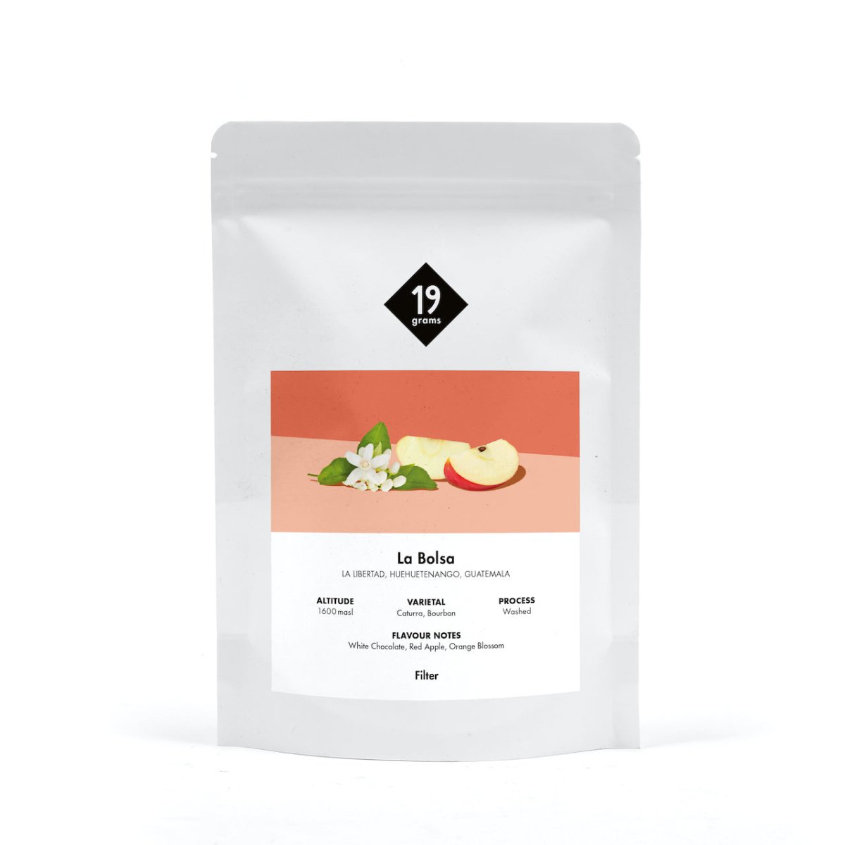 La Bolsa - Guatemala Filter — Guatemala by 19grams Coffee