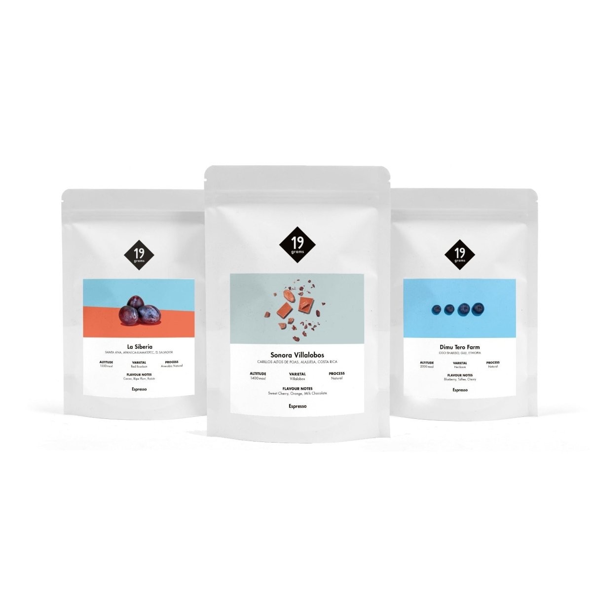 Kaffee Probierset Espresso by 19grams Coffee