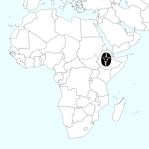 ANVIL Ethiopian - Ayele Fulasa Gesha - Micro lot — Ethiopia by ANVIL Coffee Roasters