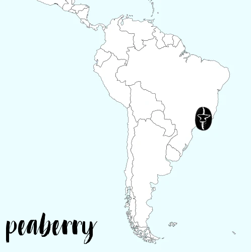 Peaberry Brazil Yellow Bourbon Natural Carbon Neutral by…