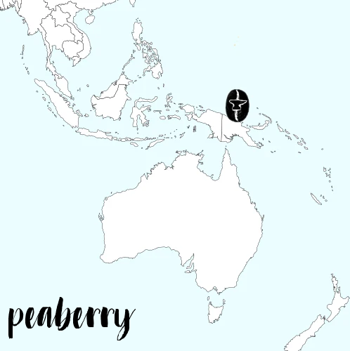 Peaberry Papua New Guinea Elimbari by ANVIL Coffee…