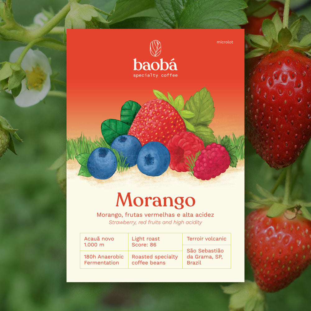 Microlote Morango (250g) — Brazil