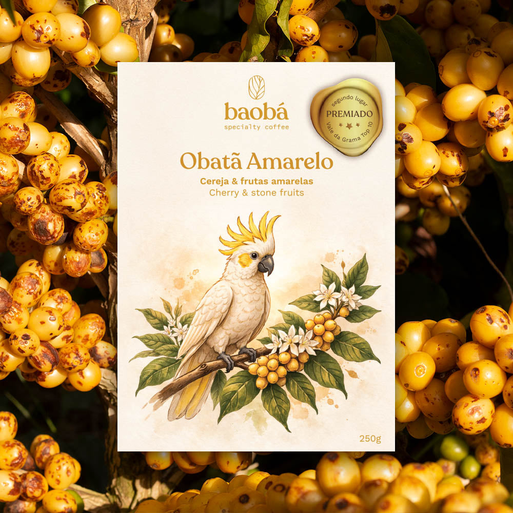 Microlote Obatã Amarelo (250g) | Public Favourite Coffee…