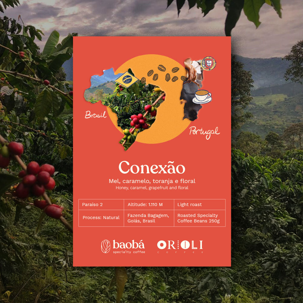 Microlote Conexão (250g) — Brazil