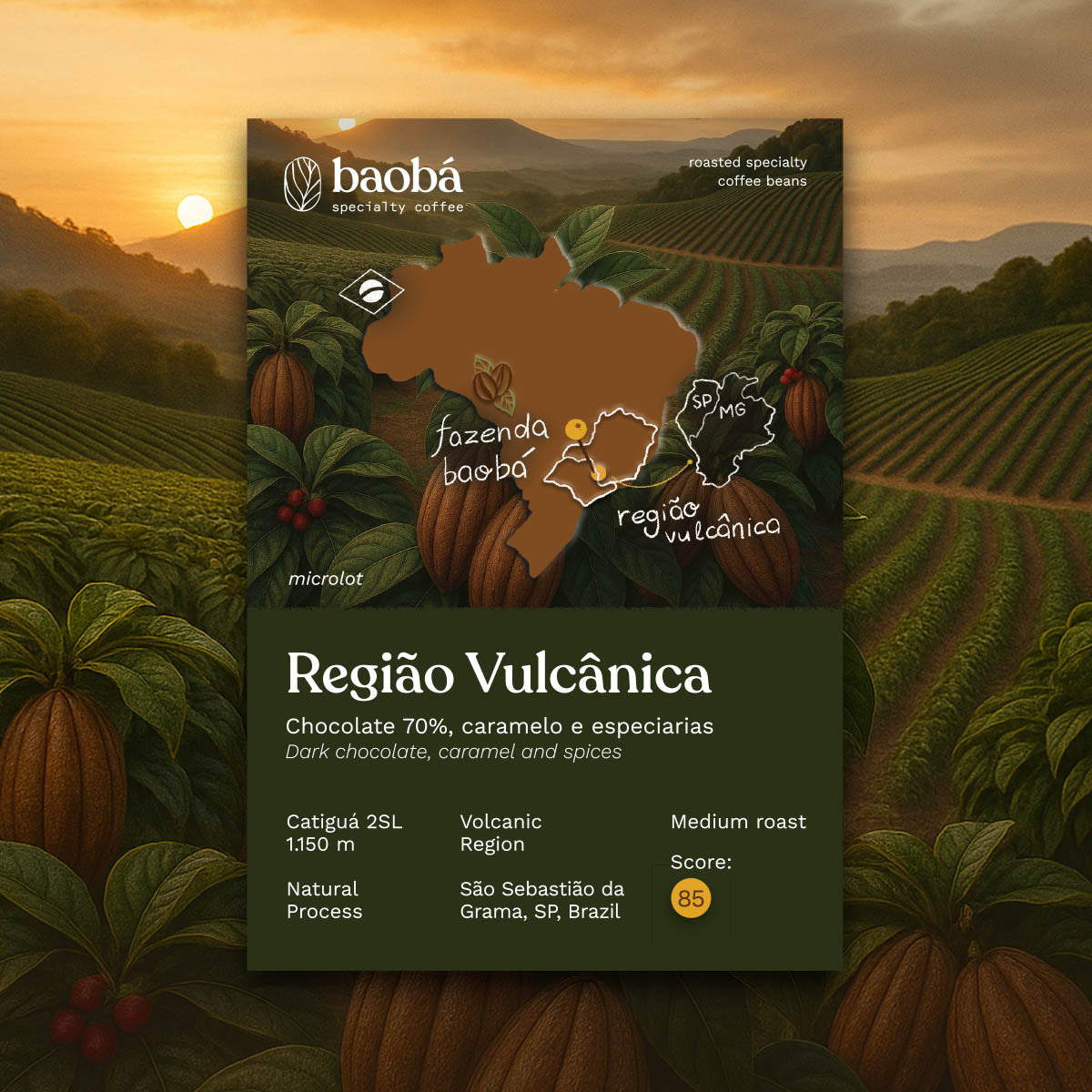 Microlote Região Vulcânica (250g) — Brazil by Baobá Café