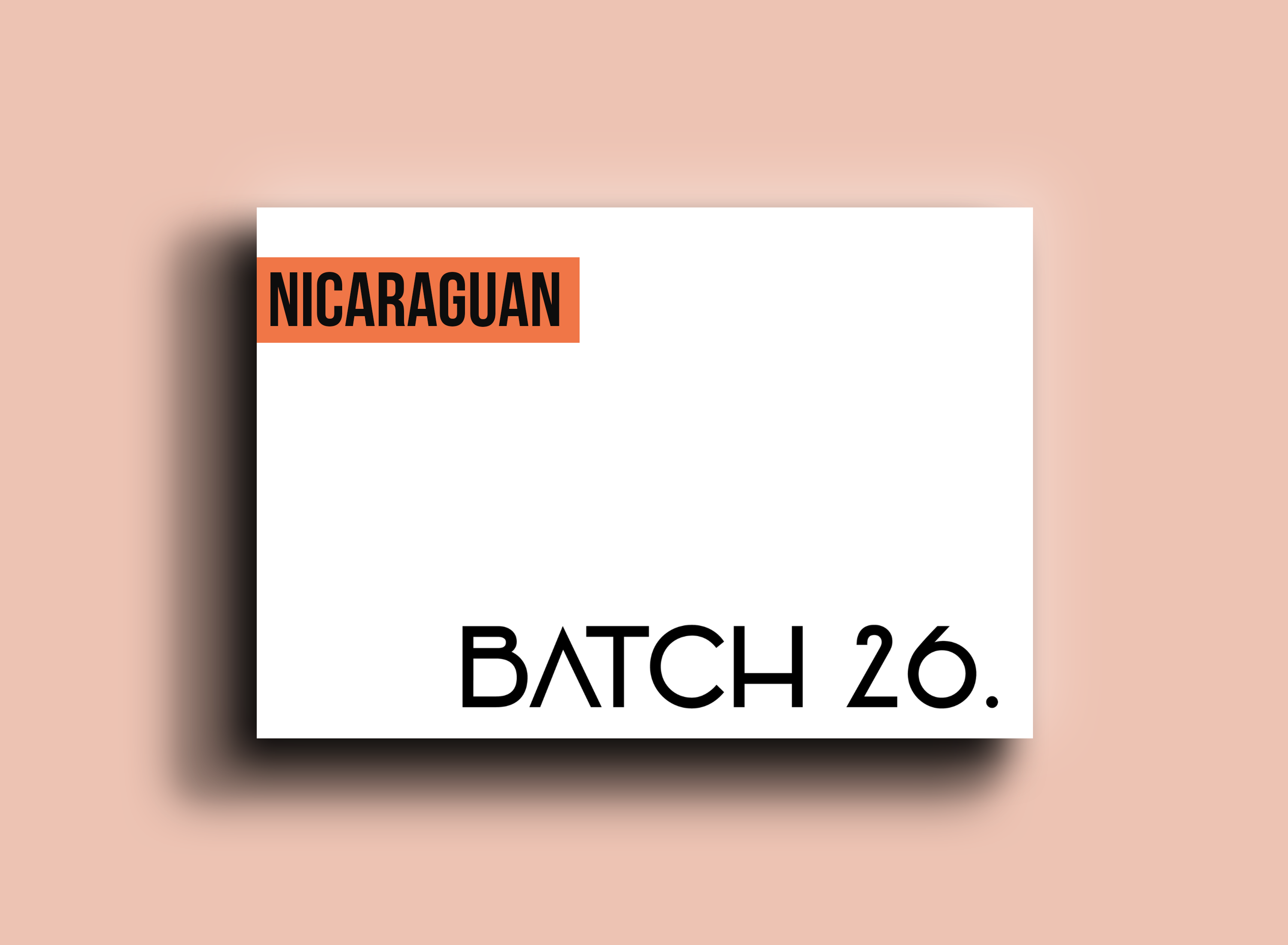 Nicaraguan Coffee Beans (Santa Luz) by Batch26 Coffee Co