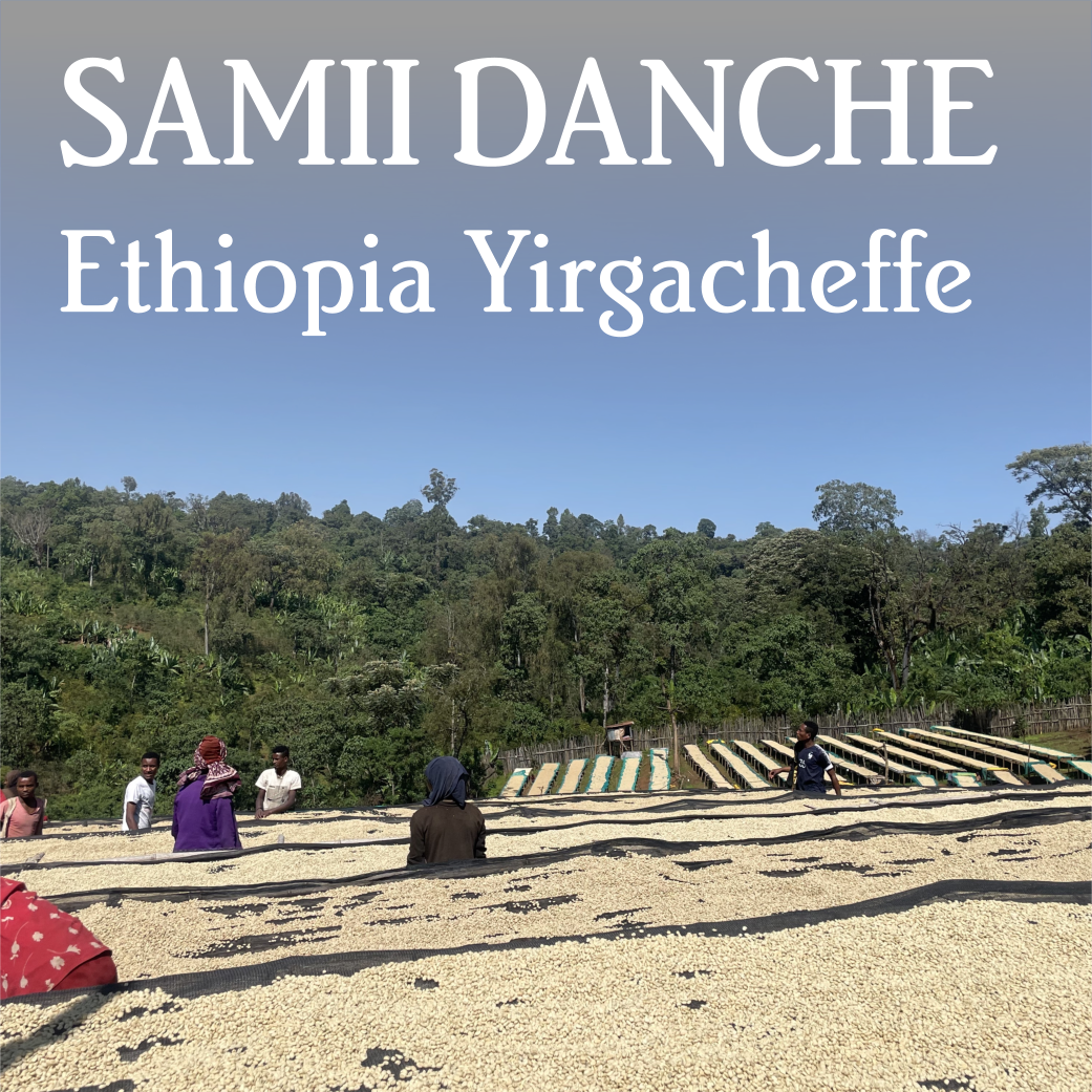 Ethiopia Yirgacheffe Samii Danche - Organic by Beanberry…