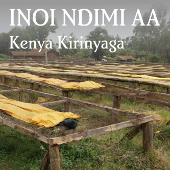 Kenya Kirinyaga Inoi Ndimi AA by Beanberry Coffee Company