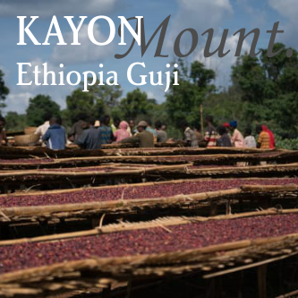 Ethiopia Guji Kayon Mountain - Organic by Beanberry…
