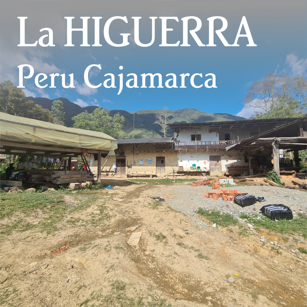 Peru Cajamarca La Higuerra - Organic by Beanberry Coffee…