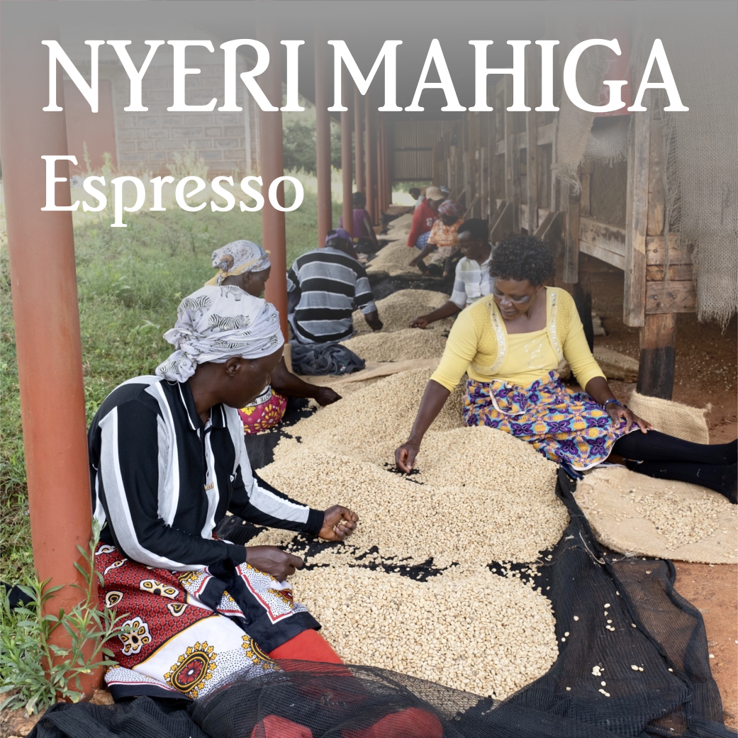 Kenya Nyeri Mahiga Espresso by Beanberry Coffee Company