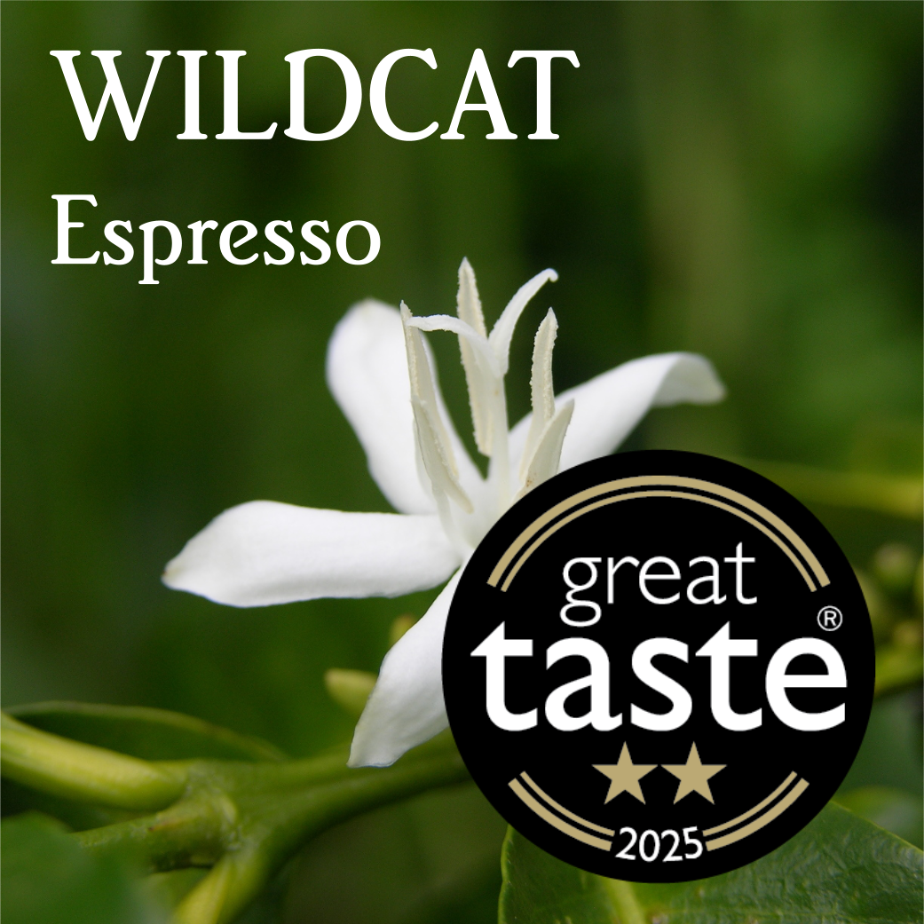 Wildcat Espresso - Organic by Beanberry Coffee Company