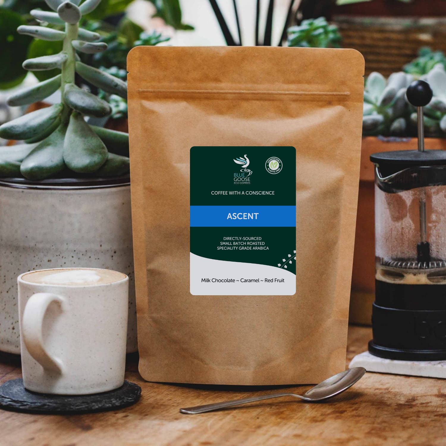 Ascent - High-Grown Colombian Coffee by Blue Goose Coffee