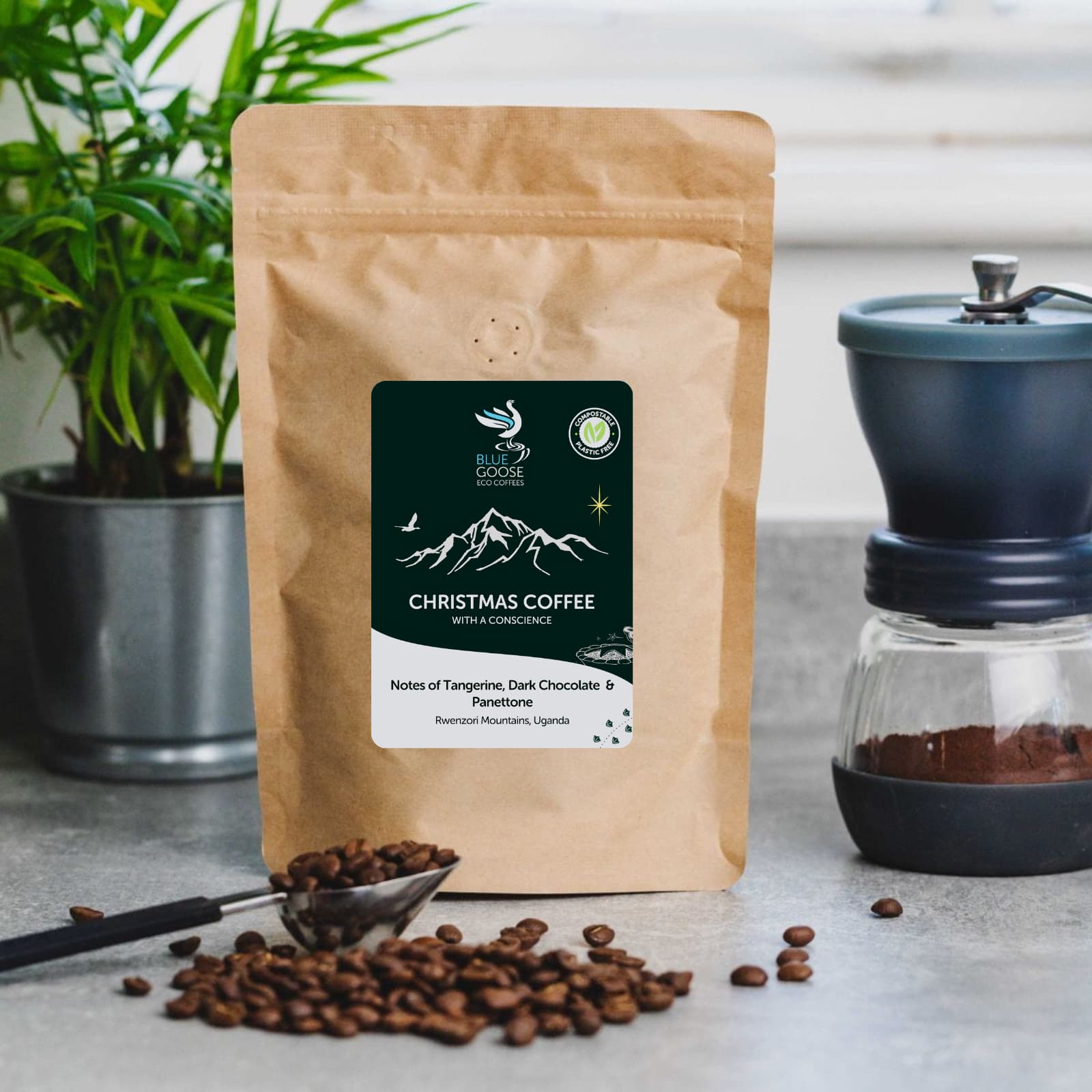 Limited Edition Christmas Coffee by Blue Goose Coffee