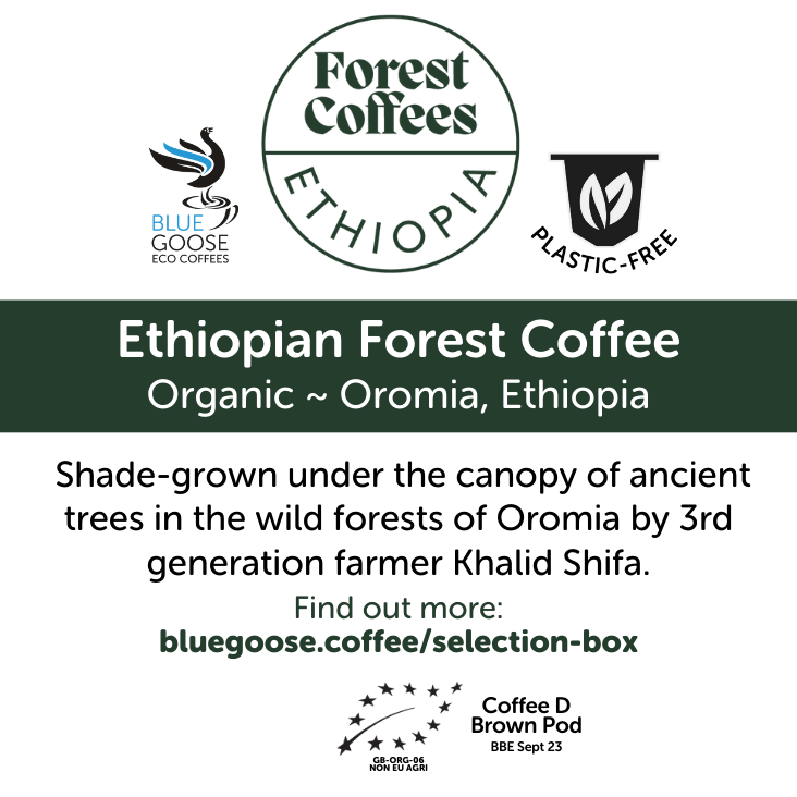 Organic Ethiopian 'Forest Coffee' Pods