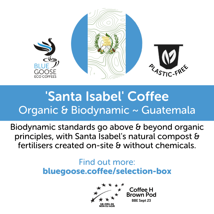 Organic Guatemalan 'Biodynamic' Coffee Pods