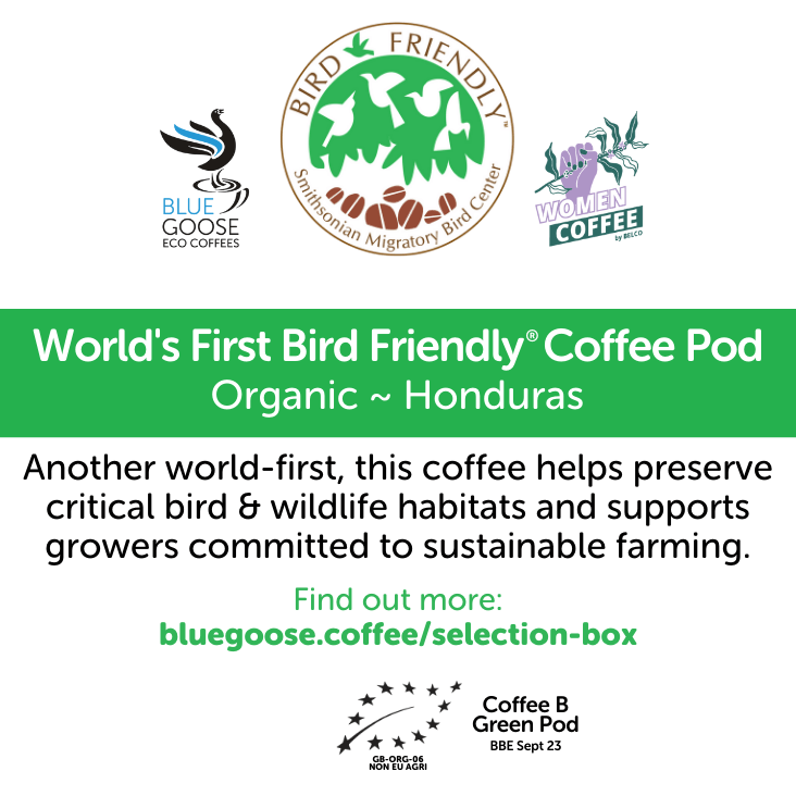 Organic Honduran 'Bird Friendly' Coffee Pods — Honduras