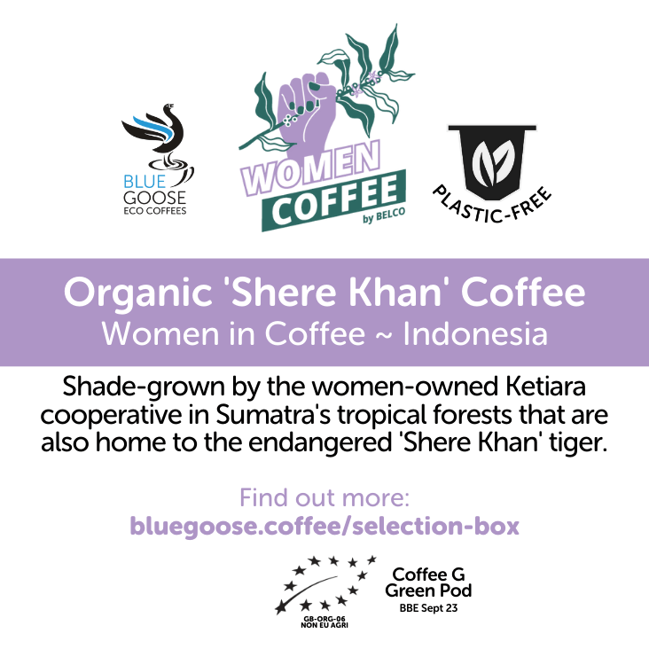 Organic Sumatran 'Shere Khan' Coffee Pods — Indonesia