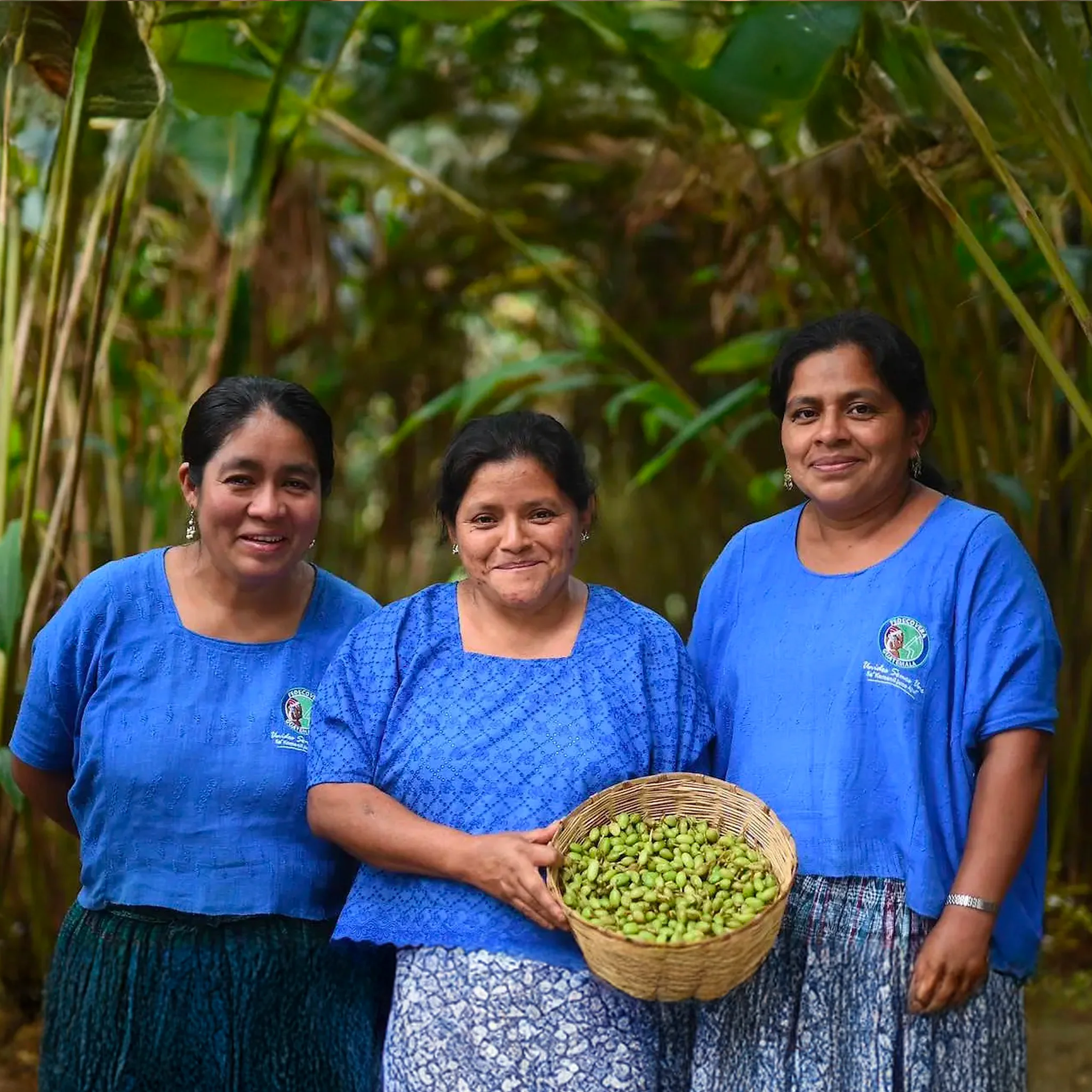 Kekchi - Coffee from Guatemala BIO by Cafemokxa