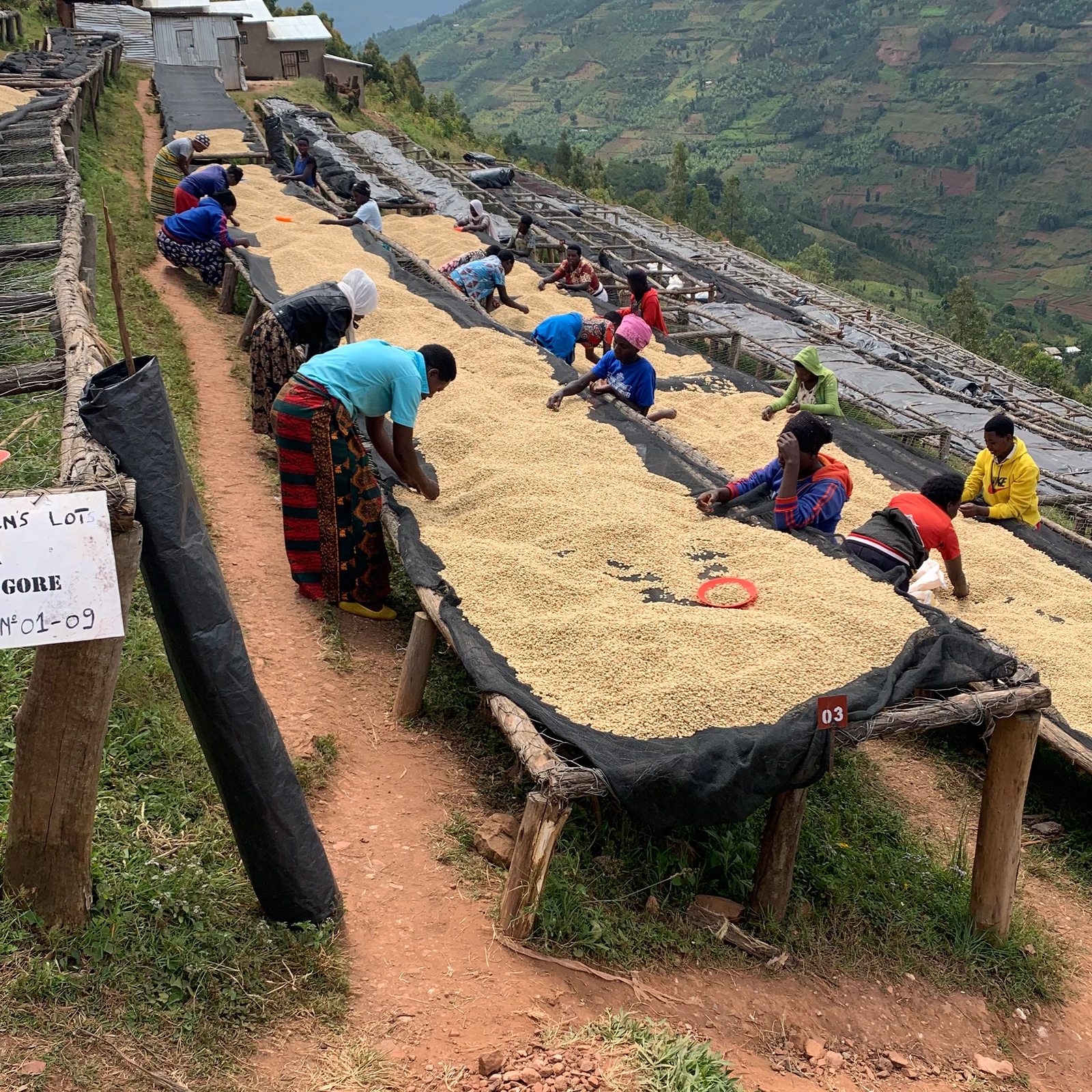 Taba - Rwandan Organic Coffee by Cafemokxa