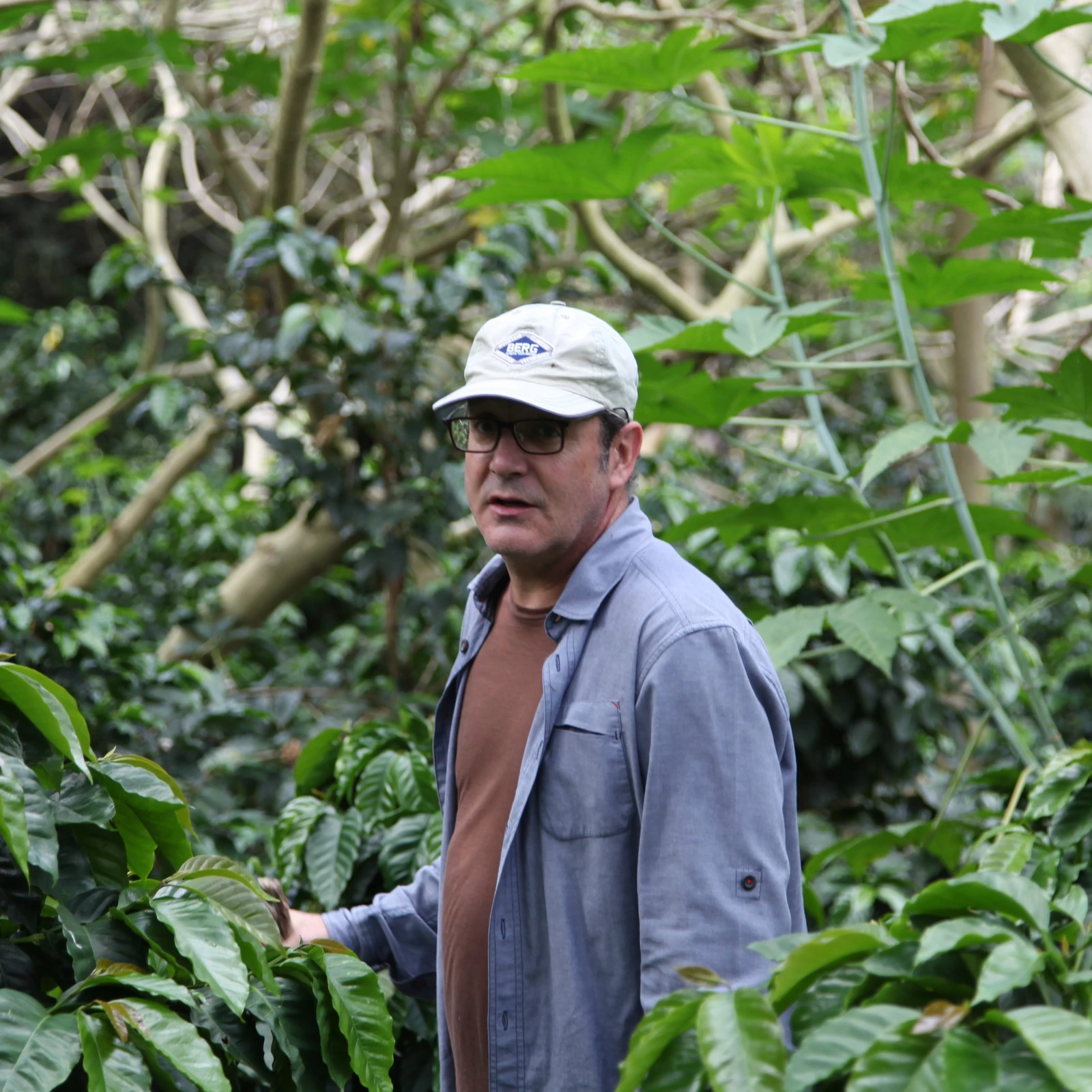 Las Terrazas - Ecuador Coffee by Cafemokxa