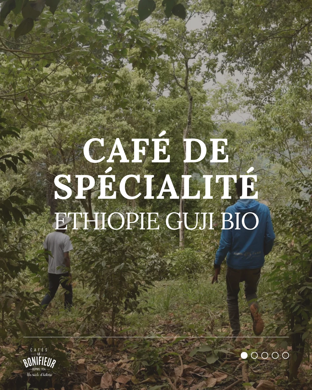 SPECIALTY COFFEE - ETHIOPIA GUJI BIO by Cafes Lebonifieur
