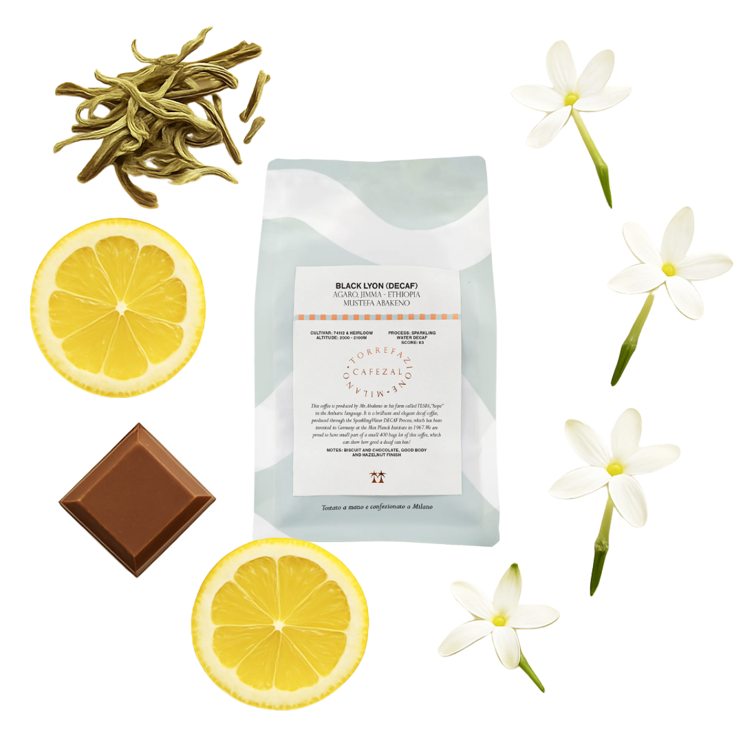Black Lyon - Ethiopia (decaf) by Cafezal