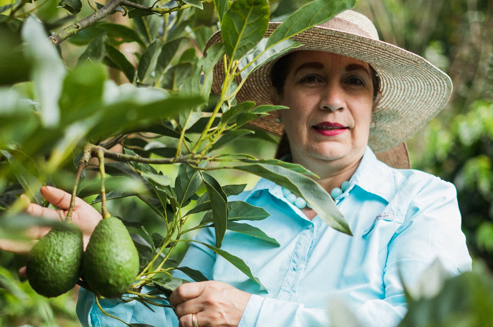 Finca La Esmeralda — Honduras