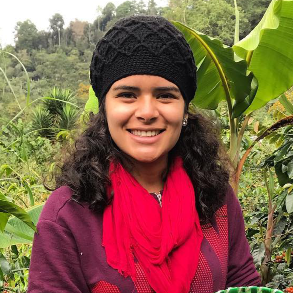 Finca Los Girasoles — Honduras