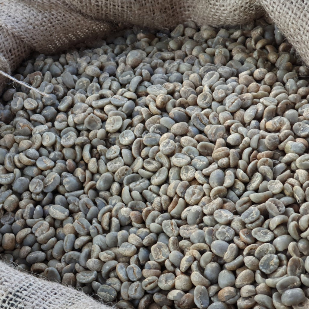 Microlot Jaguar - WHOLESALE by Caribe Coffee Co.