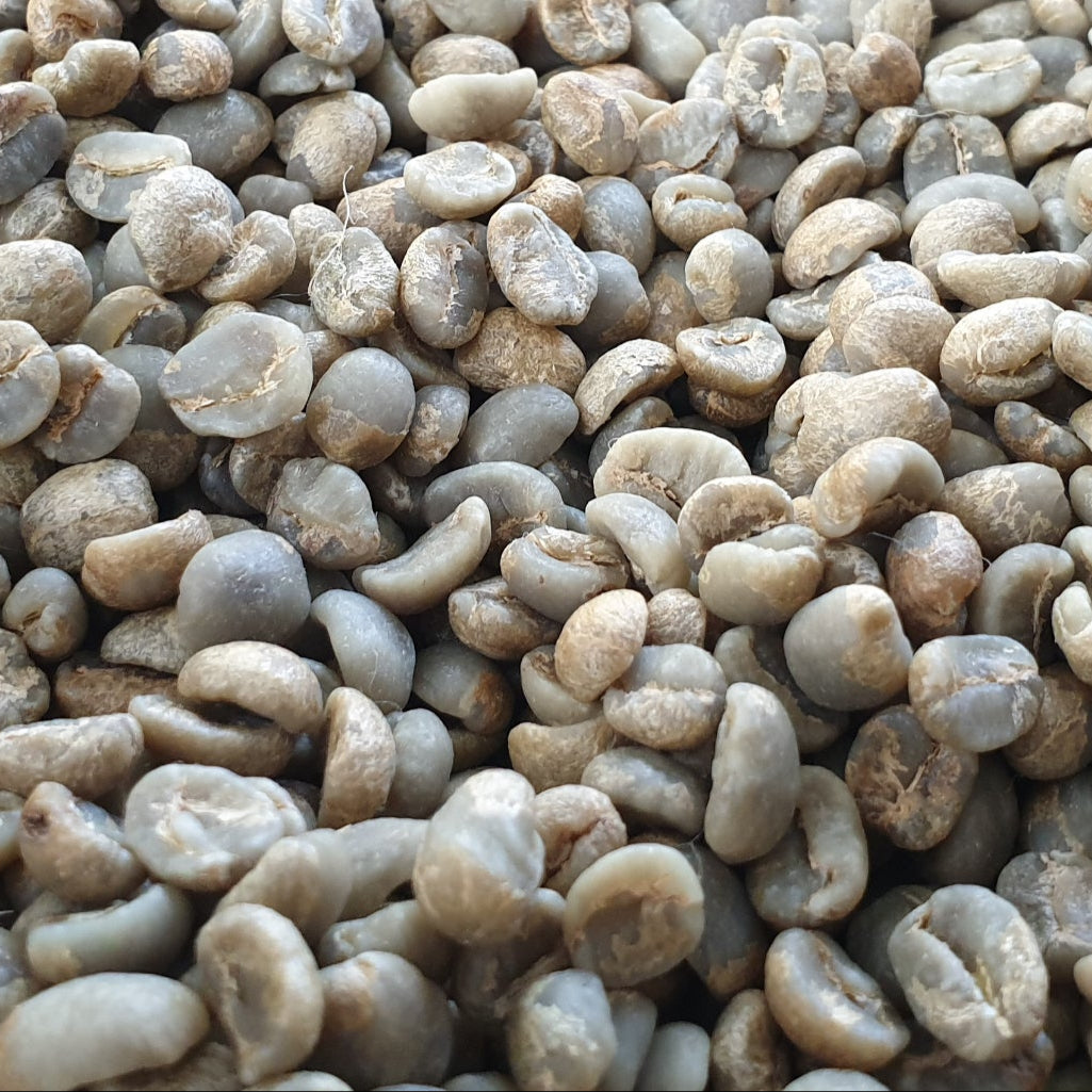 Microlot Saber - WHOLESALE — Honduras by Caribe Coffee Co.