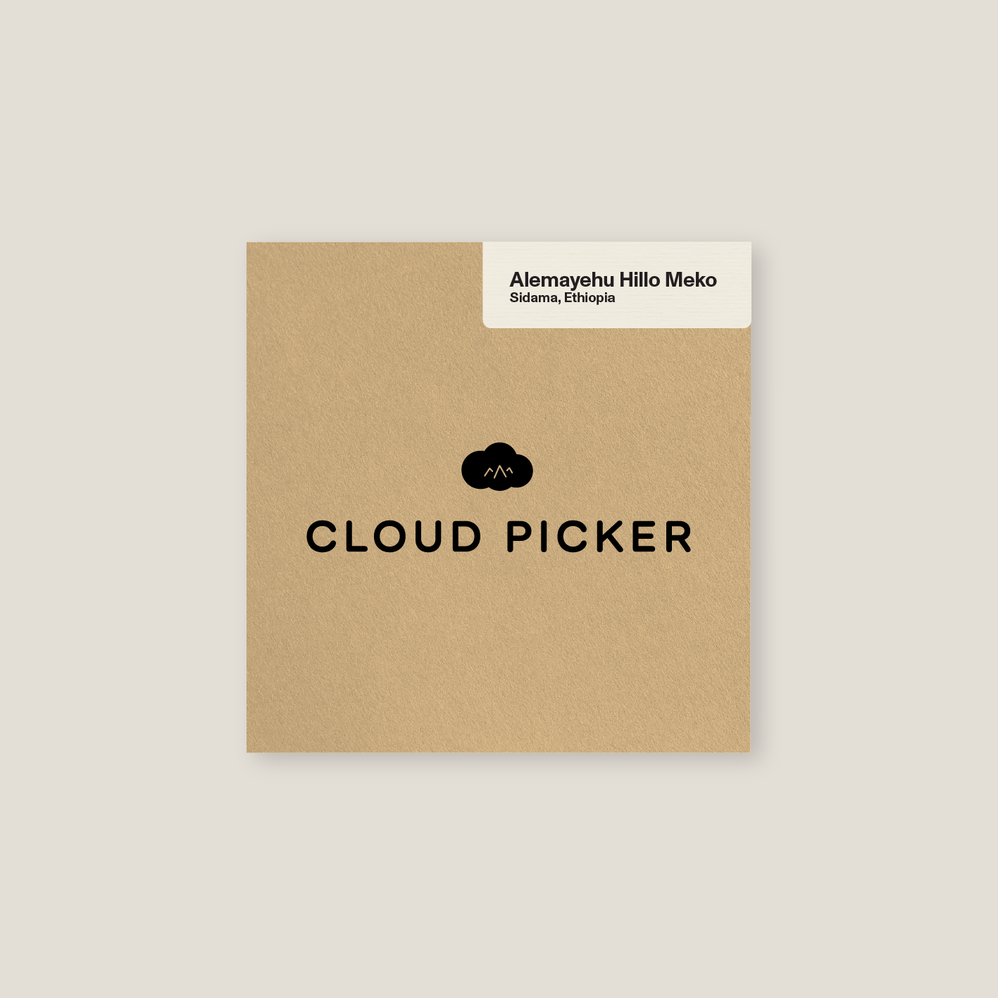 Ethiopia | Alemayehu Hillo Meko by Cloud Picker