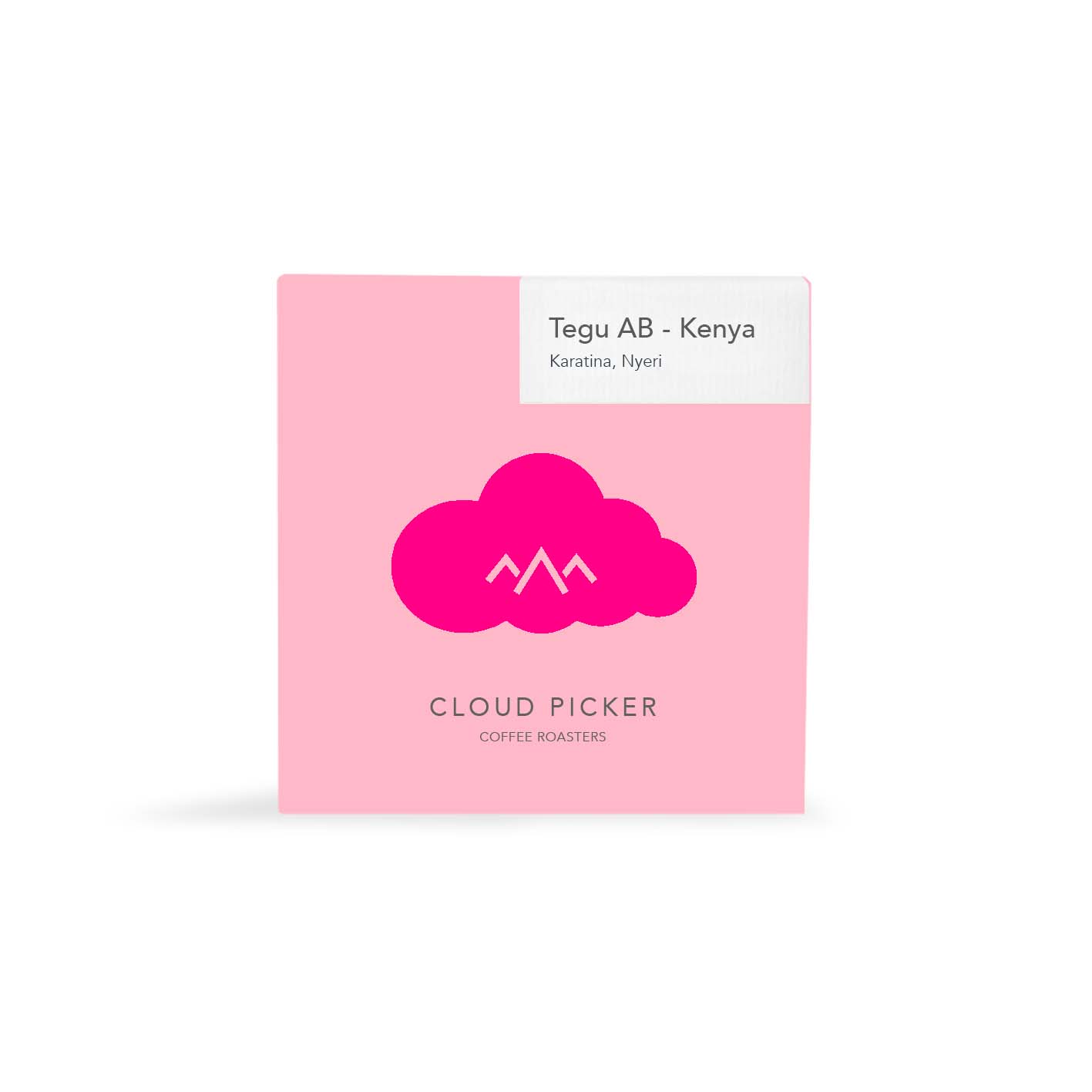 Kenya | Tegu AB by Cloud Picker