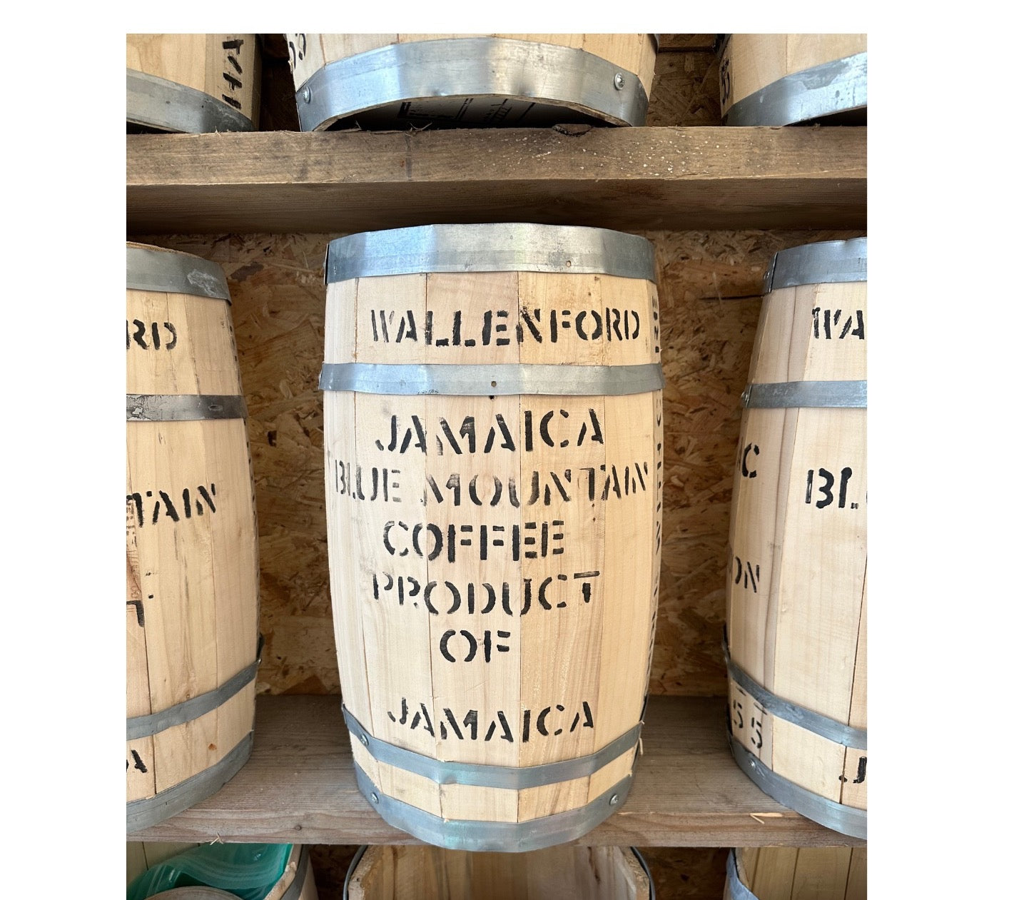 Genuine Jamaican Blue Mountain Barrel by Coffee Bean Shop