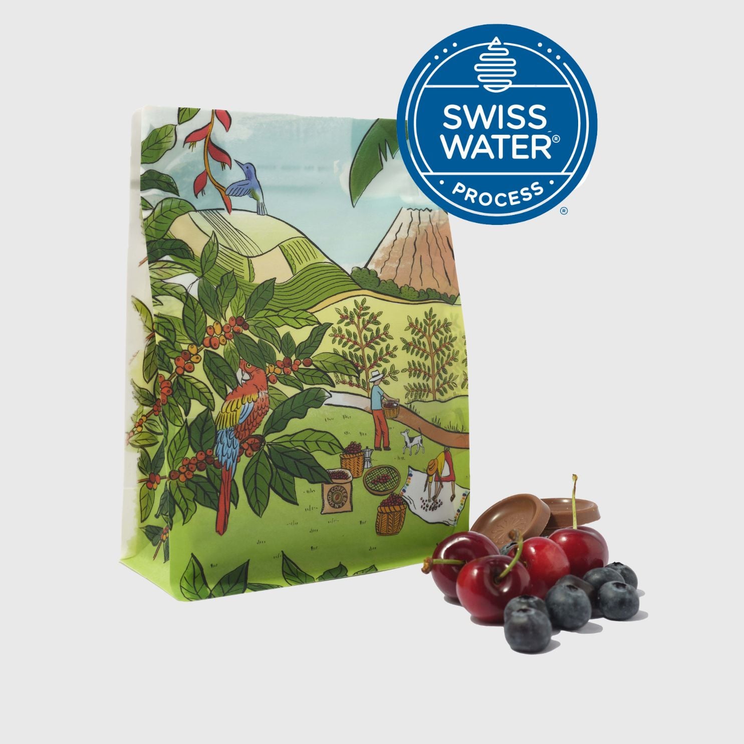 Guatemalan Swiss Water Decaf by Coffee Bean Shop