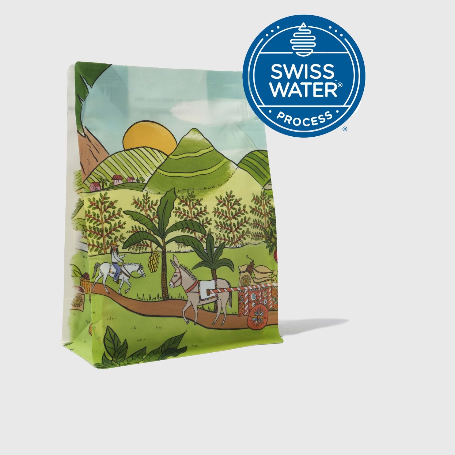 Ethiopian Sidamo Swiss Water Decaf by Coffee Bean Shop