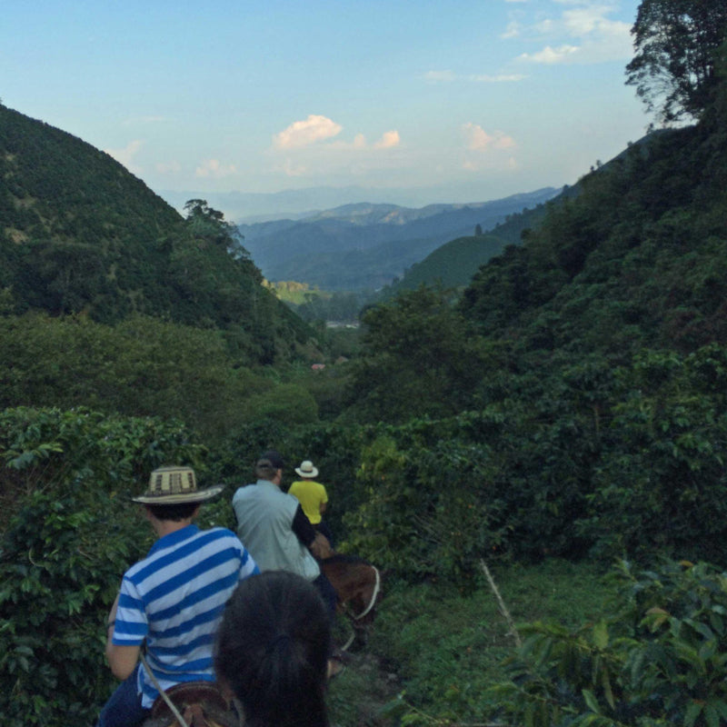 Colombia Finca Las Mercedes la Isla - 500g by Coffee…