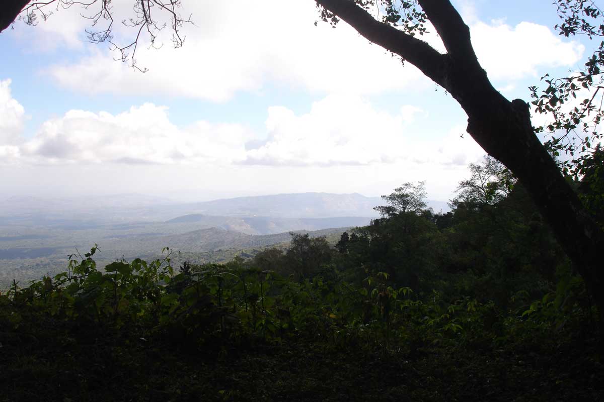 El Salvador Finca El Borbollón Red Bourbon - 500g by…