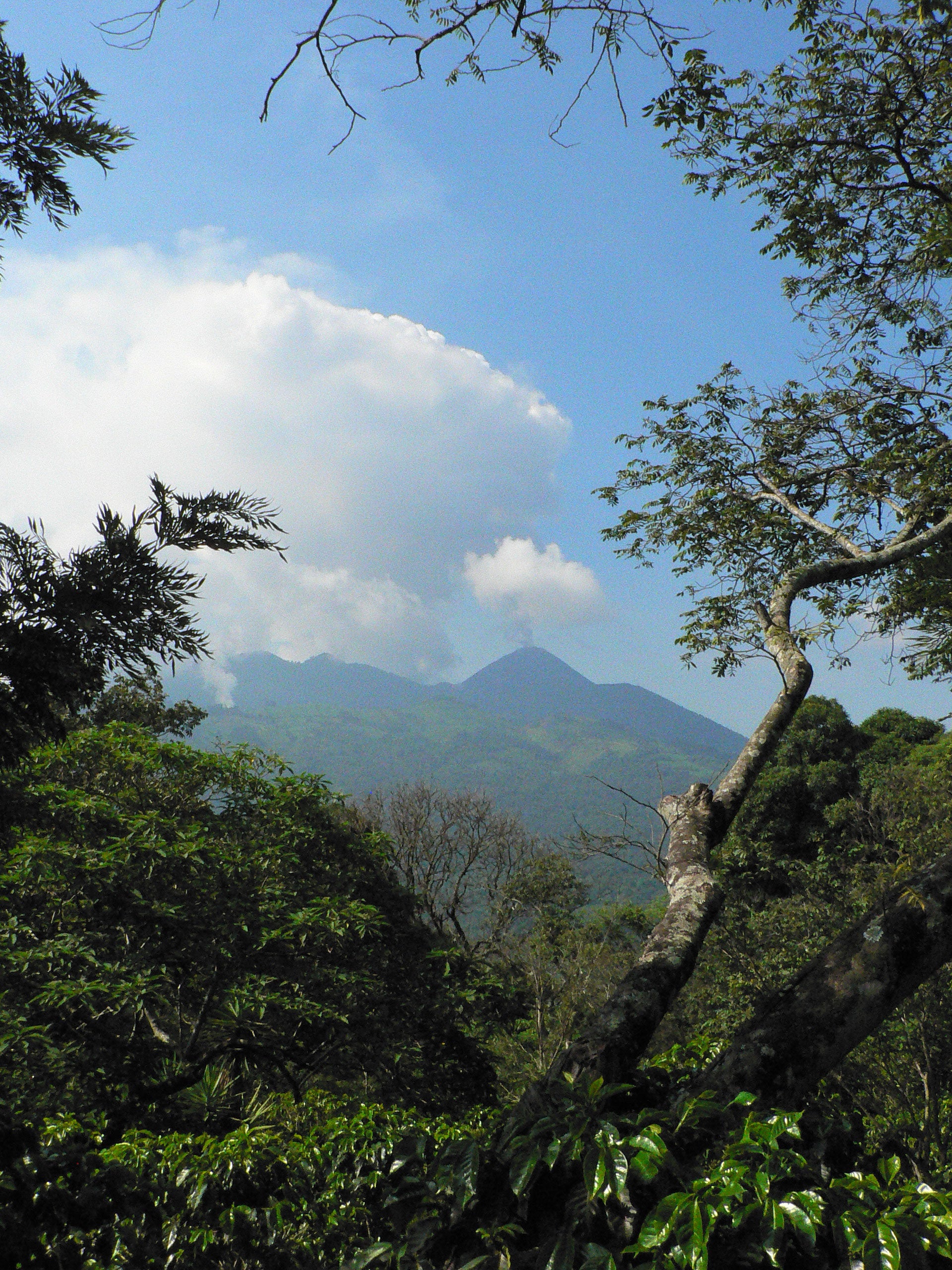 Guatemala Finca El Hato Santa Rosa - 500g