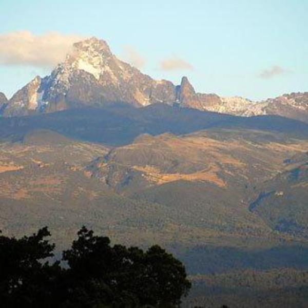 Kenya AA  Blue Mountain - 500g by Coffee Compass