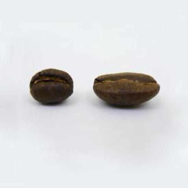 Kenya Peaberry - 500g by Coffee Compass