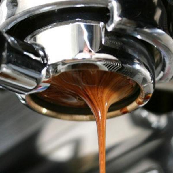 Mahogany Roast Malabar Hit - 500g by Coffee Compass