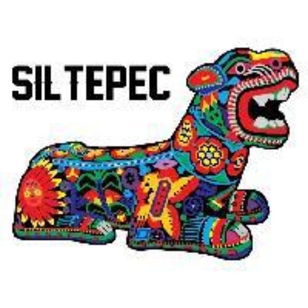 Mexico Siltepec El Jaguar - 500g by Coffee Compass