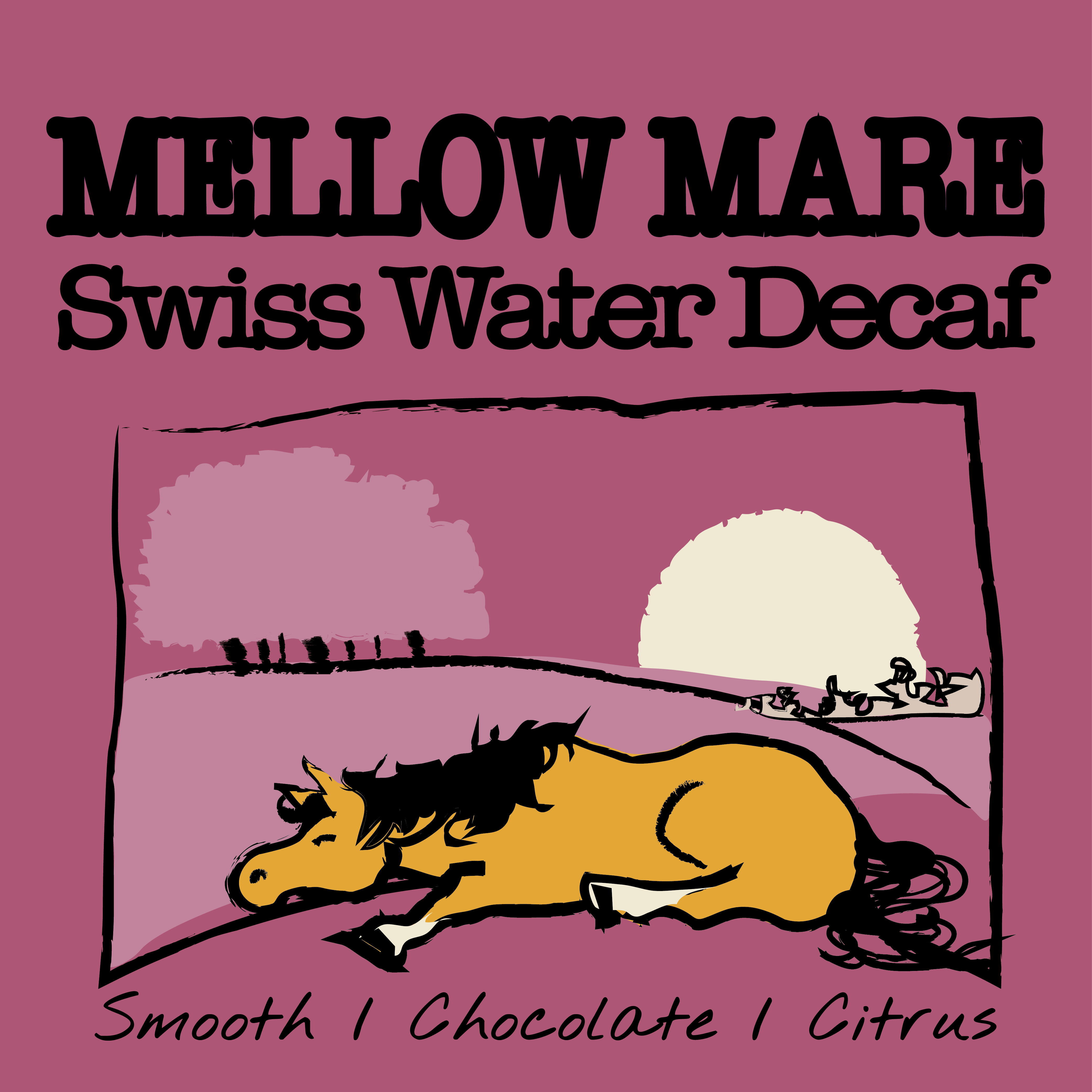 MOUNTAIN WATER DECAF - MELLOW MARE - MEXICO by Coffee…