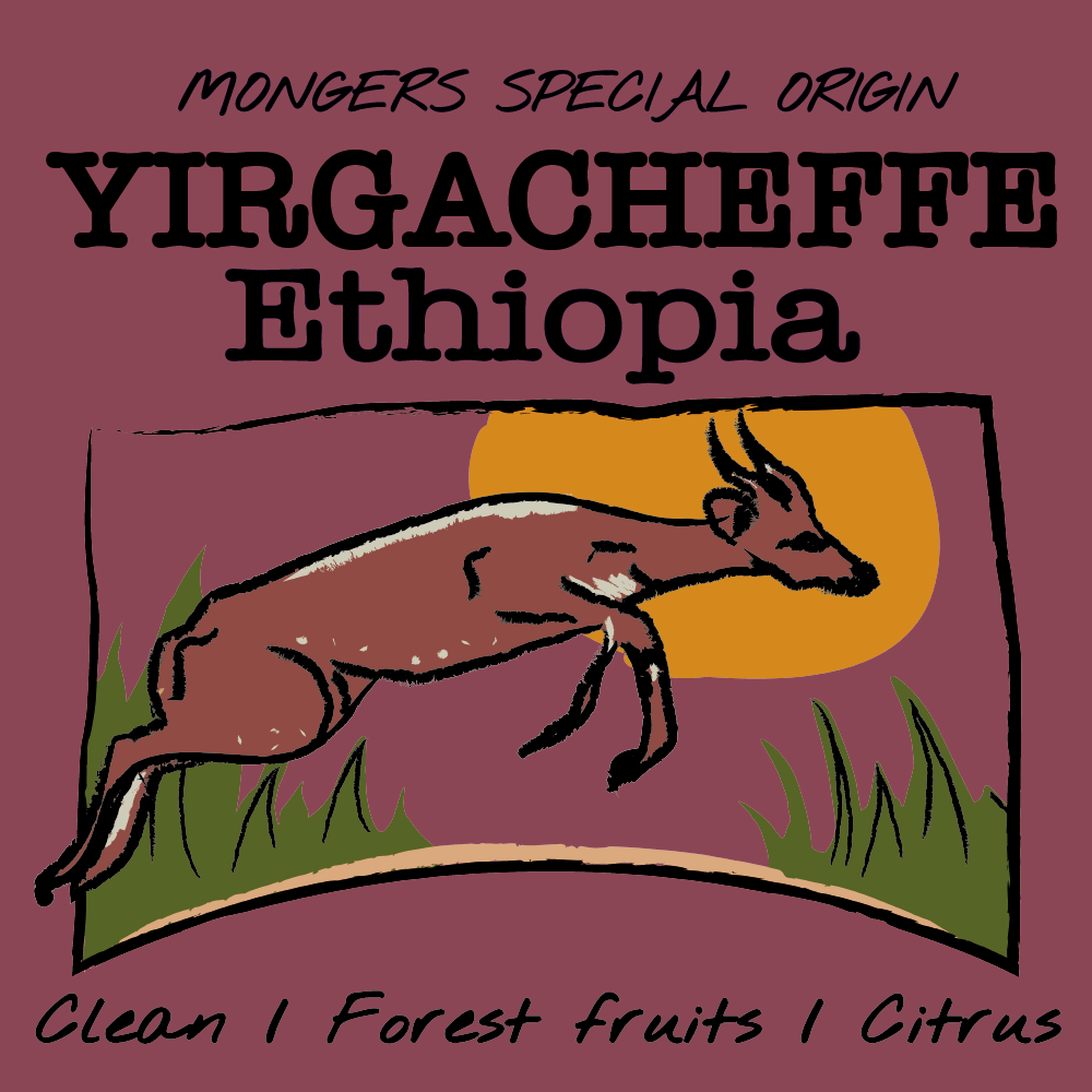 ETHIOPIA - YIRGACHEFFE G2 — Ethiopia by Coffee Mongers