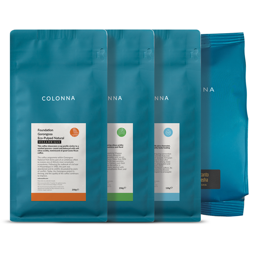 All 3 + Gesha Beans — Kenya by Colonna Coffee