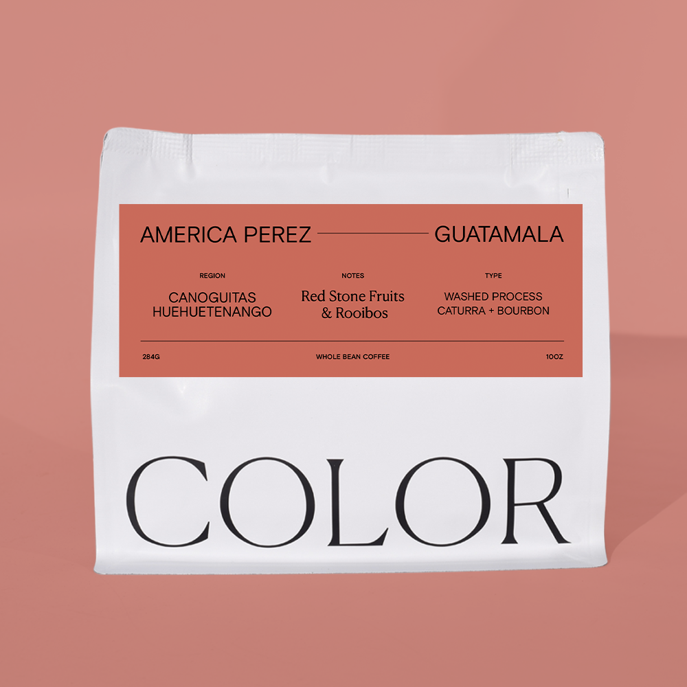 Guatemala America Perez — Guatemala by Color Coffee