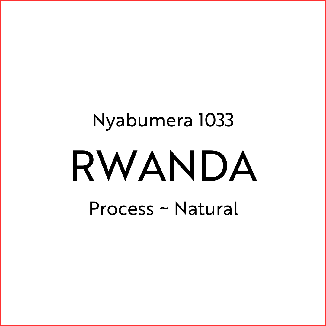 Nyabumera 1033 by Corban Coffee