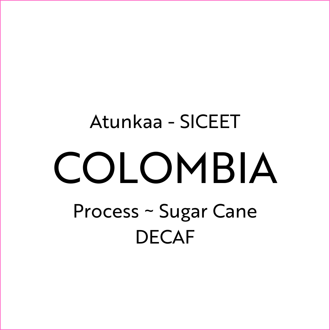 Atunkaa - SICEET - DECAF — Colombia by Corban Coffee