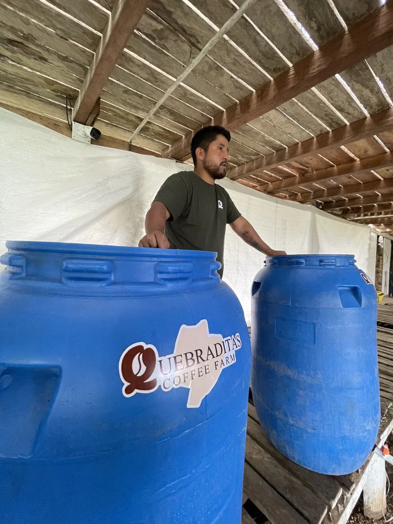 Edinson Argote, Finca Quebraditas Laurina